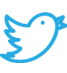 Twitter Icon