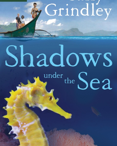 Shadows Under the Sea