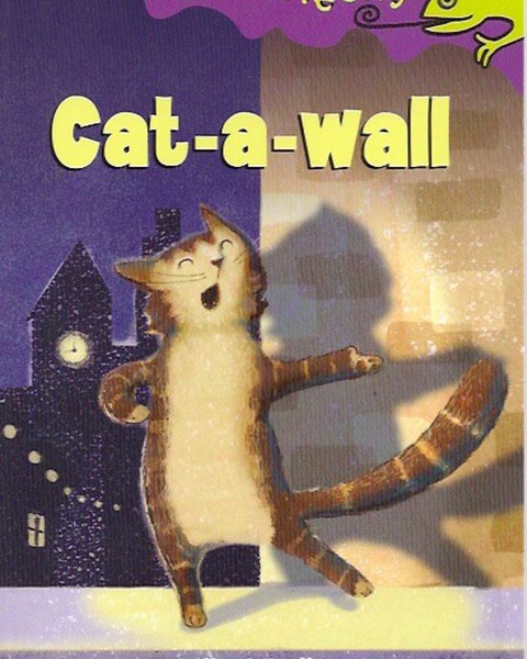 Cat-A-Wall